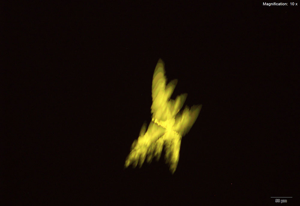 reagent 19