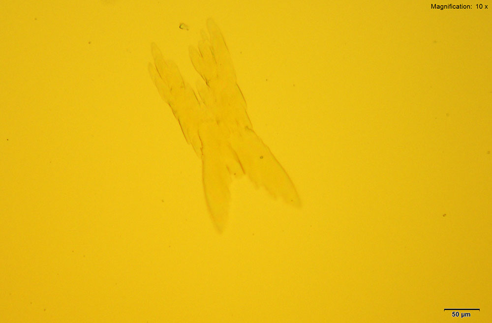 reagent 18