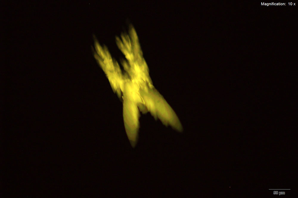 reagent 20