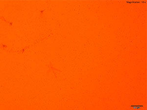 reagent thumbnail 5