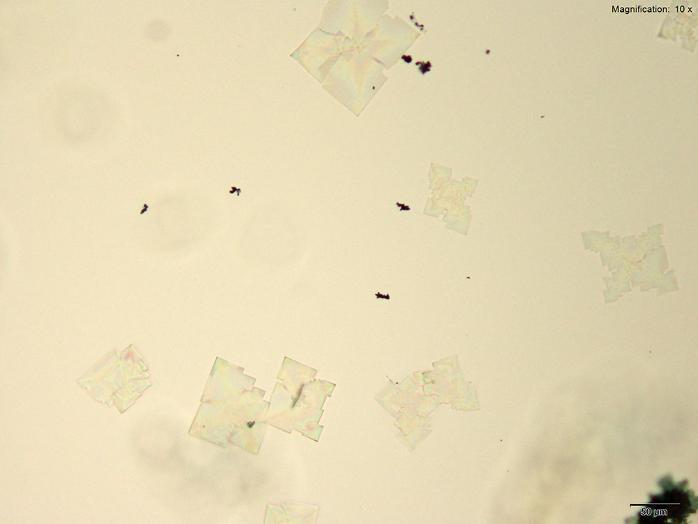 reagent 1