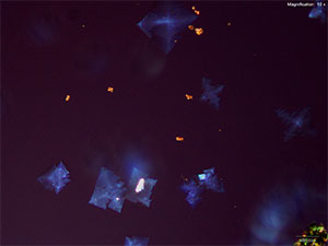 reagent thumbnail 2