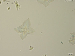 reagent thumbnail 4
