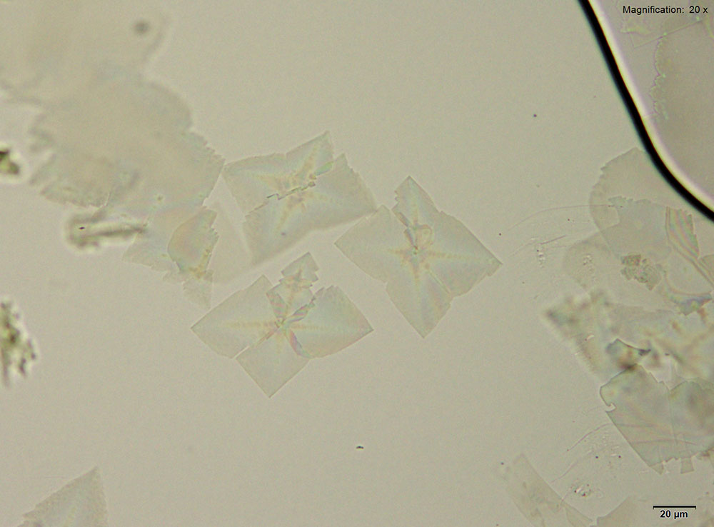 reagent 5