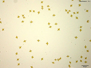 reagent thumbnail 7
