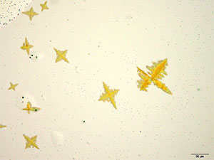 reagent thumbnail 8