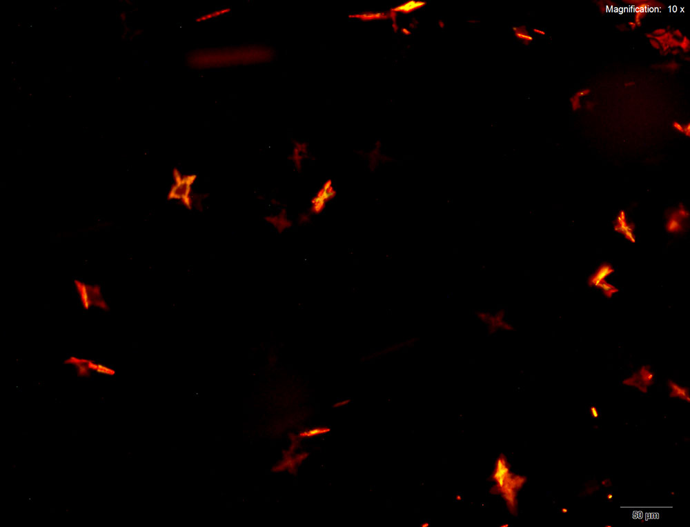reagent 9