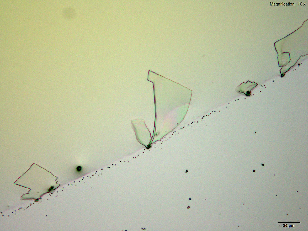 reagent 10