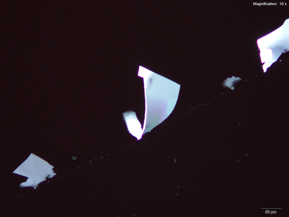 reagent 12