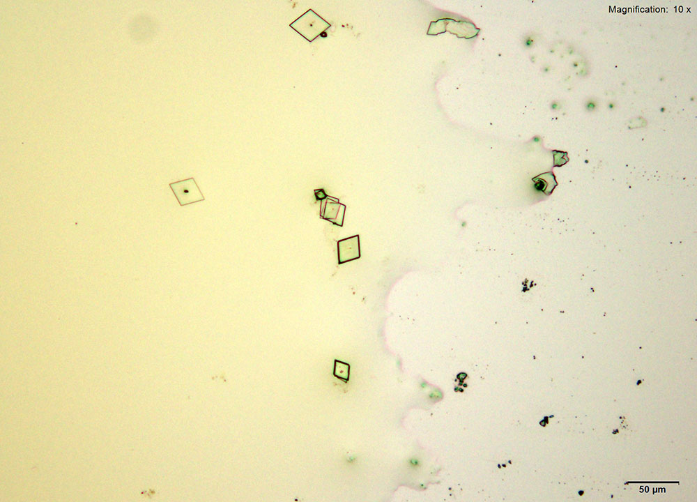 reagent 11