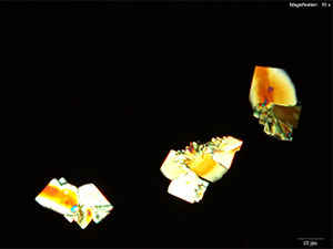 emc2 thumbnail 2