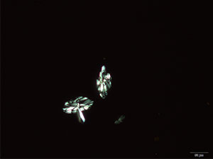 emc2 thumbnail 4