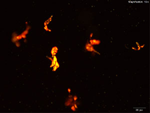 emc2 thumbnail 6