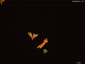 emc2 thumbnail 12