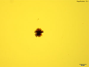 reagent thumbnail 1