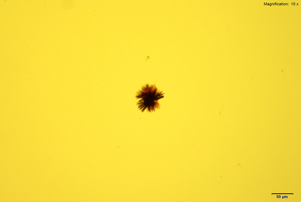 reagent 1