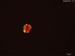 reagent thumbnail 2