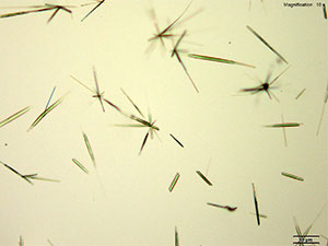 reagent thumbnail 1
