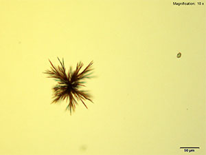 reagent thumbnail 3