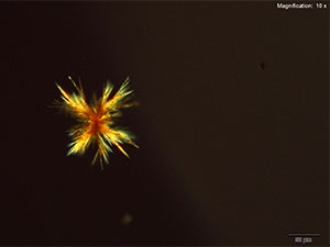 reagent thumbnail 5