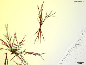 reagent thumbnail 4