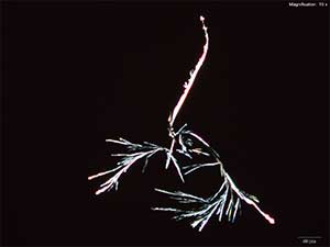 reagent thumbnail 3