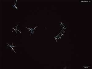 reagent thumbnail 4