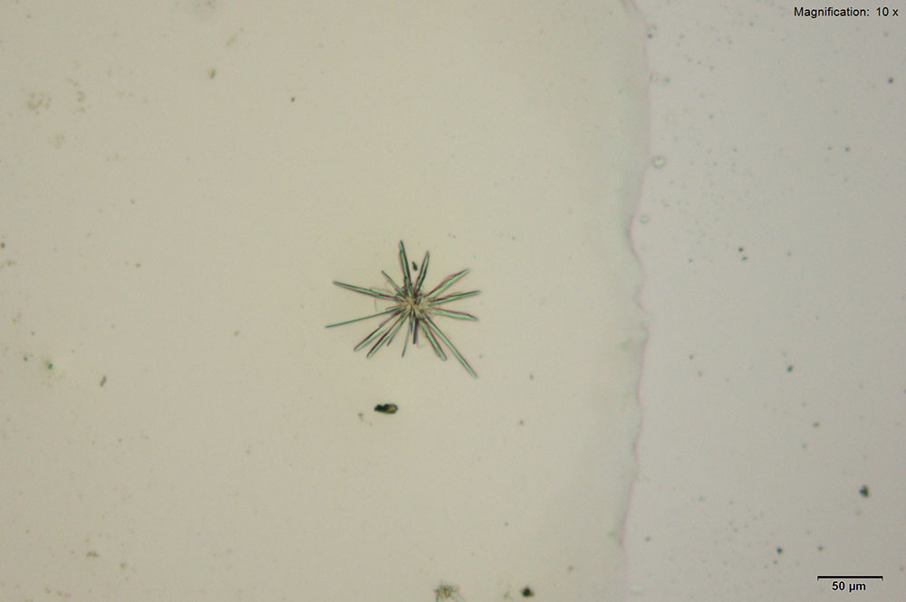 reagent 1