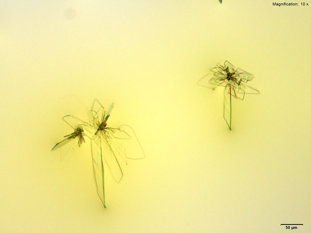 reagent 2