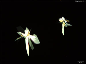 reagent thumbnail 5