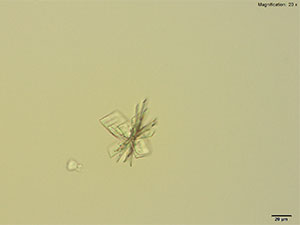 reagent thumbnail 3
