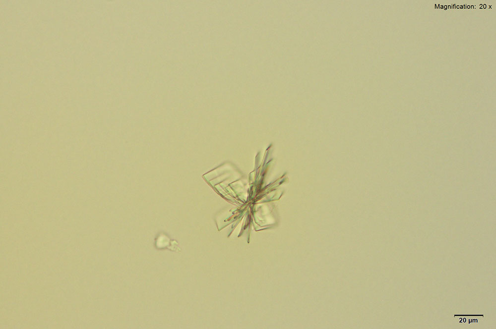 reagent 3