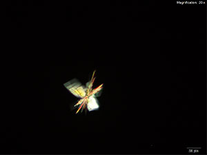 reagent thumbnail 6
