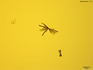 reagent thumbnail 7