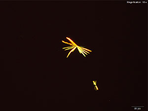 reagent thumbnail 9