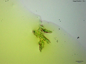 reagent thumbnail 1