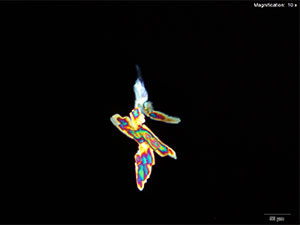 reagent thumbnail 3