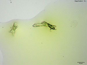 reagent thumbnail 2