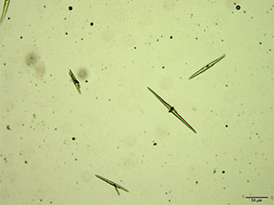 reagent thumbnail 5