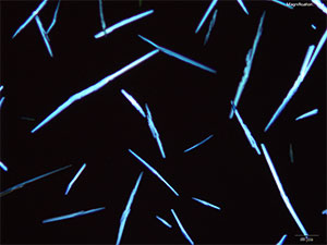 reagent thumbnail 8