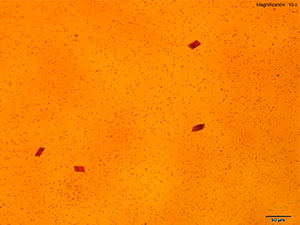 reagent thumbnail 9