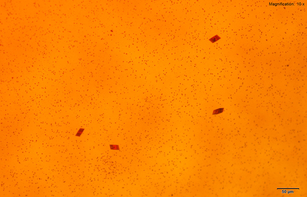 reagent 9