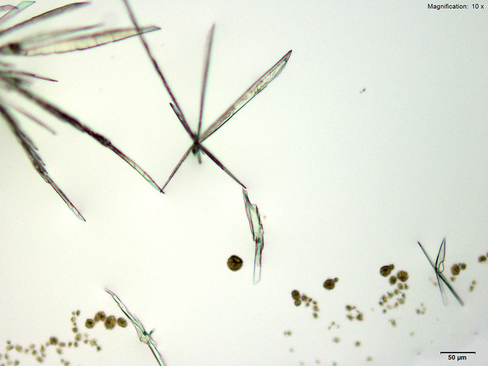 reagent 11