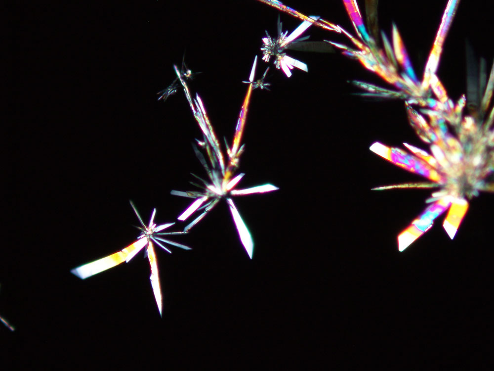 reagent 14