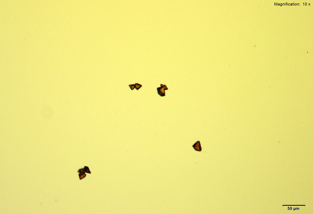 reagent 17