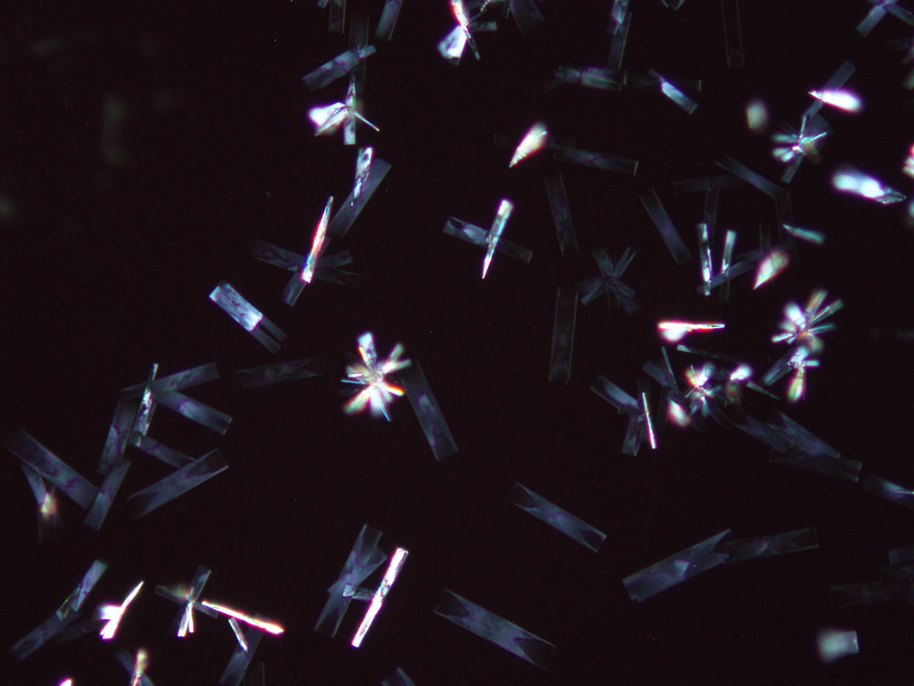 reagent 19