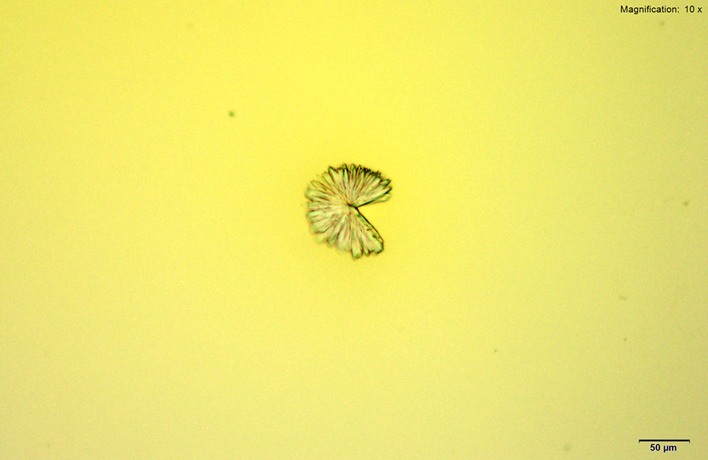 reagent image 1