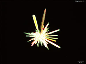 reagent image 4 thumbnail