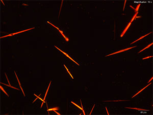 reagent 3 thumbnail