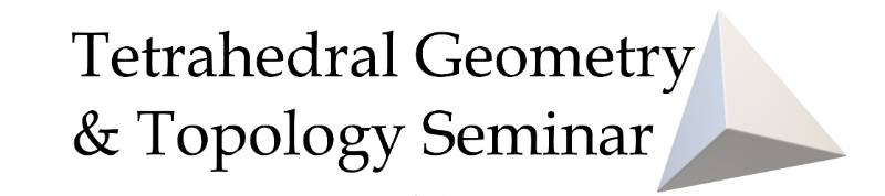Tetrahedral Geometry Seminar Logo